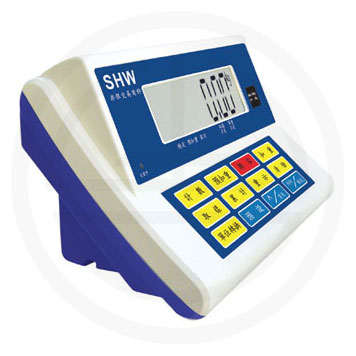 SHW 計重電子顯示器